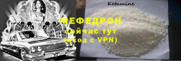 индика Бородино