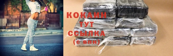 индика Бородино
