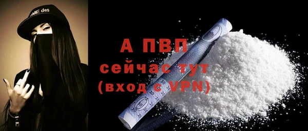 индика Бородино
