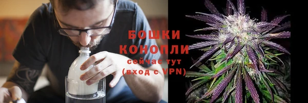 индика Бородино