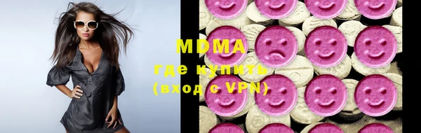 индика Бородино