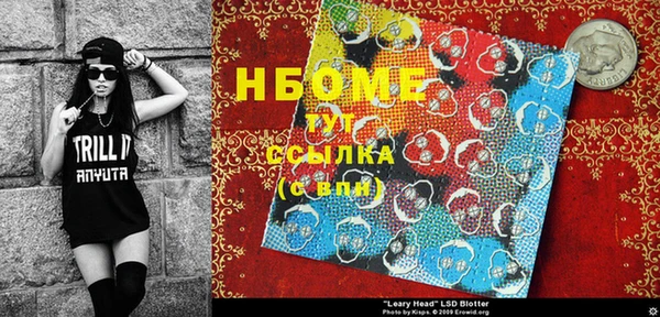 индика Бородино