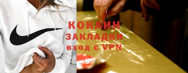 индика Бородино