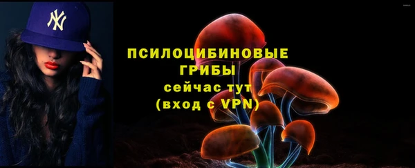 амф Бронницы