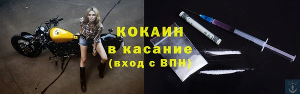 индика Бородино