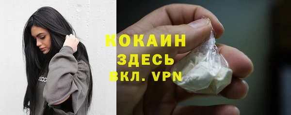 индика Бородино