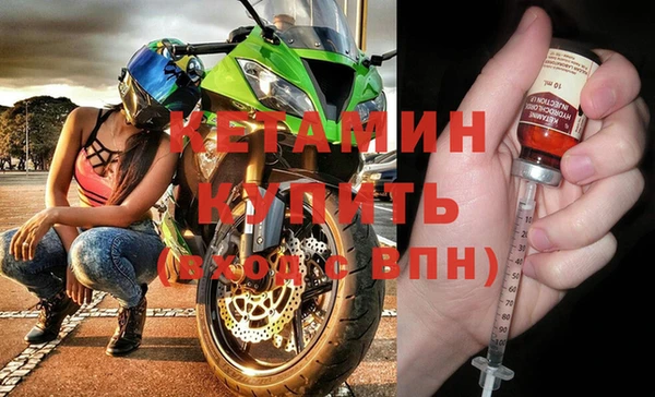 индика Бородино