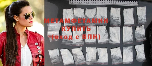 индика Бородино
