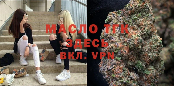 индика Бородино