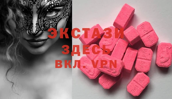 индика Бородино