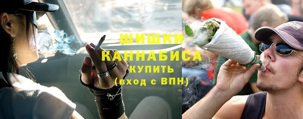 амф Бронницы