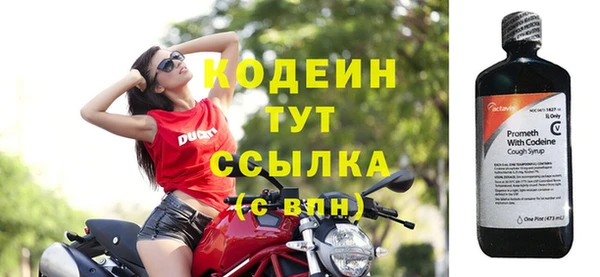 индика Бородино