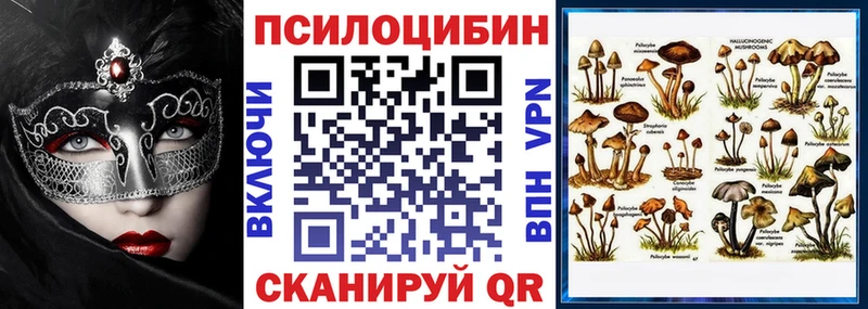 Галлюциногенные грибы мицелий  Гай 