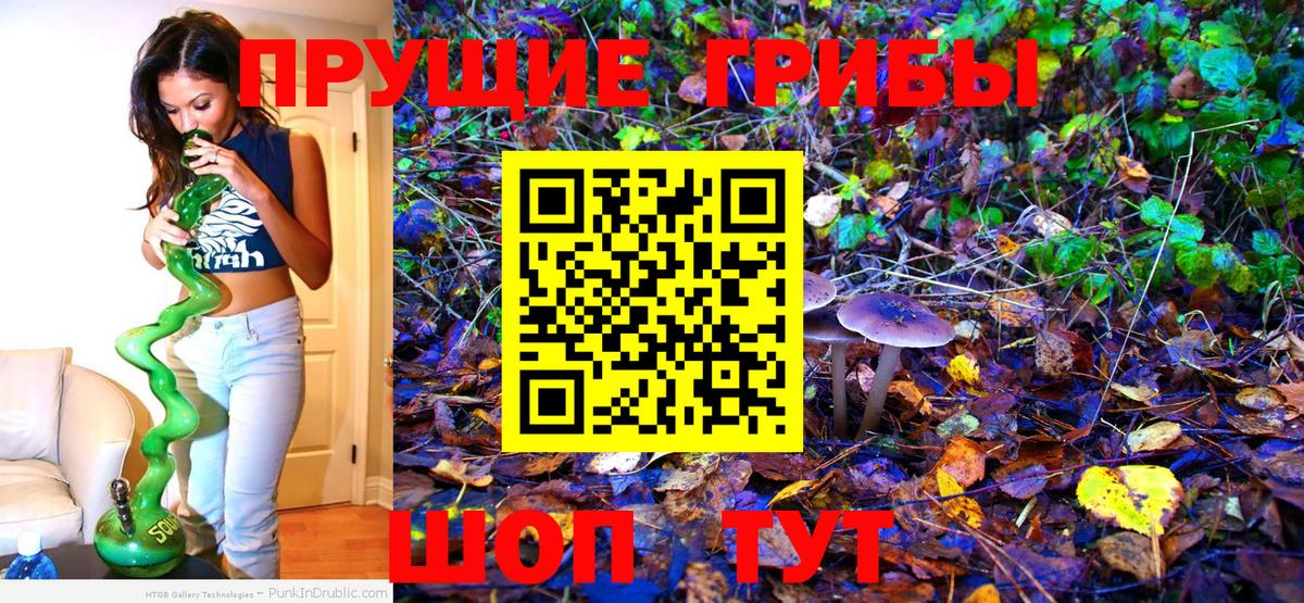 Галлюциногенные грибы MAGIC MUSHROOMS Гай