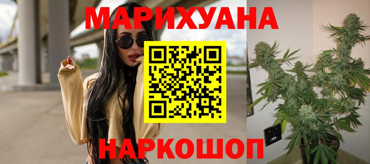 Конопля план Гай